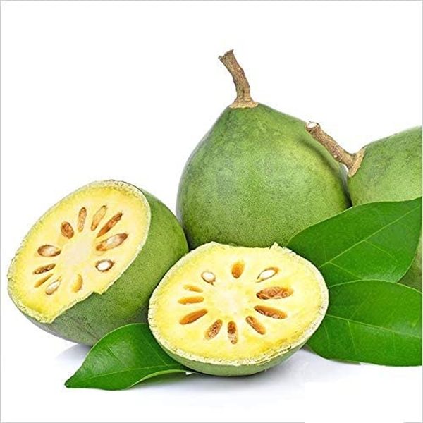 AEGLE MARMELOS - Image 3