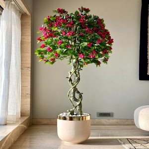 BOUGAINVELLIA
