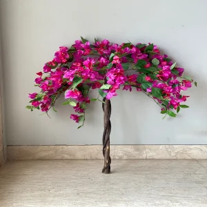 BOUGAINVILLEA BU.S.Q.V.