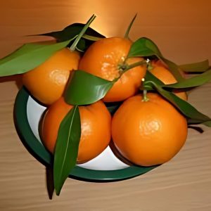 CITRUS RETICULATA