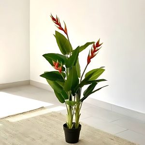 PHP-HELICONIA HUMILIS